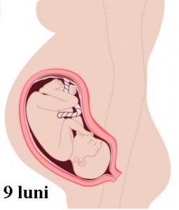amorteala mainilor in timpul sarcinii